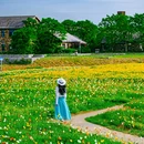 江苏三台山国家森林公园 - 宿迁市旅游 缩略图 6