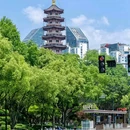 江心屿景区 - 温州市旅游 缩略图 4