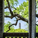 江心屿景区 - 温州市旅游 缩略图 3