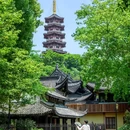 江心屿景区 - 温州市旅游 缩略图 7