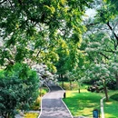 龙潭生态旅游度假区 - 清远市旅游 缩略图 9