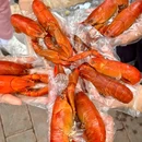 珍姐龙虾1号店 - 广州市旅游 缩略图 5
