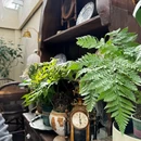 保定学院家属院 - 保定旅游 缩略图 1