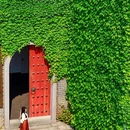 洋沙湖国际旅游度假区 - 岳阳市旅游 缩略图 5