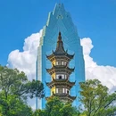 九山公园 - 温州市旅游 缩略图 1