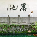 九山公园 - 温州市旅游 缩略图 6