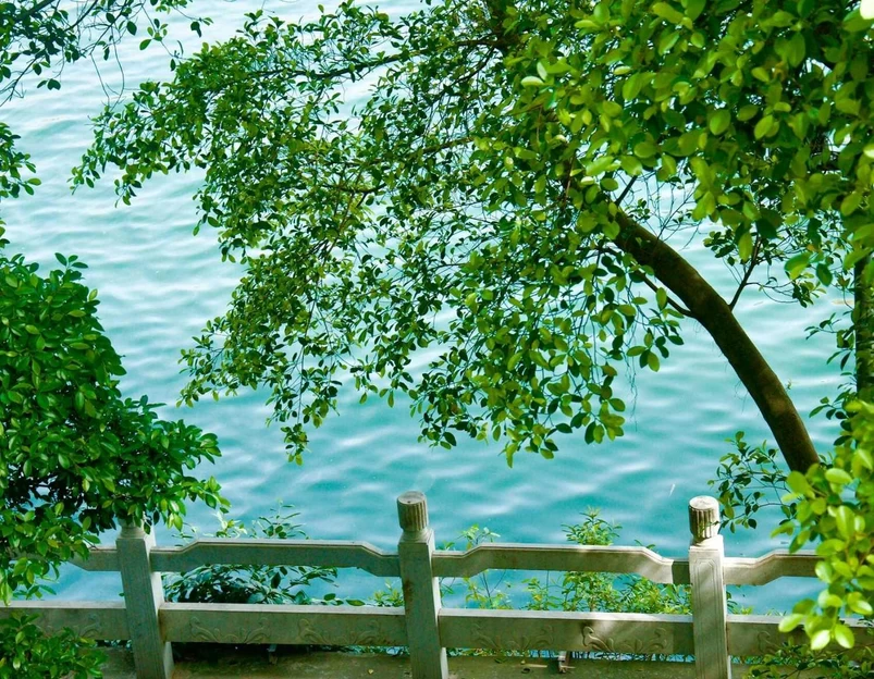 柳州市江滨公园 - 柳州市旅游 1