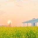 东沙湖公园 - 杭州市旅游 缩略图 2