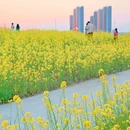 东沙湖公园 - 杭州市旅游 缩略图 3