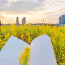 东沙湖公园 - 杭州市旅游 缩略图 5