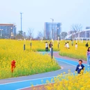东沙湖公园 - 杭州市旅游 缩略图 4