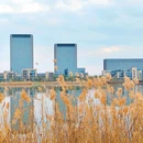 东沙湖公园 - 杭州市旅游 缩略图 6