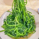 佛山百花广场 - 佛山市旅游 缩略图 3