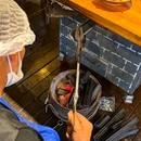山城柴火鸡·跳水蛙(东和春天店) - 重庆市旅游 缩略图 9