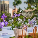 海口星海湾铂尔曼酒店 - 海口市旅游 缩略图 2