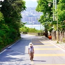 巫山九码头 - 重庆旅游 缩略图 1
