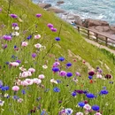 燕儿岛山公园 - 青岛旅游 缩略图 4