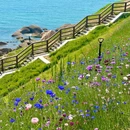 燕儿岛山公园 - 青岛旅游 缩略图 2