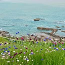燕儿岛山公园 - 青岛旅游 缩略图 6
