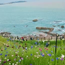燕儿岛山公园 - 青岛旅游 缩略图 8