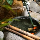 菊姬极上日本料理(迎宾馆店) - 海口市旅游 缩略图 6