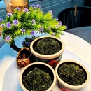 奈斯·海景餐厅(三亚中服免税购物公园店) - 三亚市旅游 缩略图 2