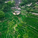 江浙汇(华亭店) - 铜陵市旅游 缩略图 8