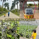 知识城东湖 - 广州市旅游 缩略图 6