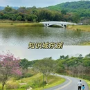 知识城东湖 - 广州市旅游 缩略图 3