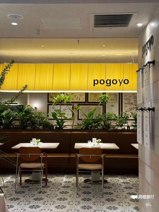 pogoyo(正弘城店) - 郑州市旅游