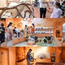 永旺梦乐城(新塘店) - 广州市旅游 缩略图 3