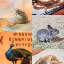 永旺梦乐城(新塘店) - 广州市旅游 缩略图 4