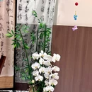 寳鼎花园(胜利东街) - 潍坊旅游 缩略图 6
