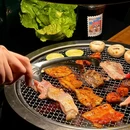 食肉兽 - 绵阳市旅游 缩略图 3