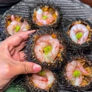 花潮料理艺食馆(重庆万象城店) - 重庆市旅游 缩略图 1