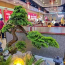 潍坊站 - 潍坊市旅游 缩略图 5