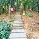 银湖山公园-北门 - 深圳市旅游 缩略图 4