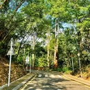 银湖山公园-北门 - 深圳市旅游 缩略图 3