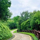 银湖山公园-北门 - 深圳市旅游 缩略图 9