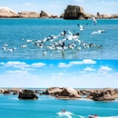 乌素特(水上)雅丹地质公园 - 海西蒙古族藏族自治州旅游 缩略图 1