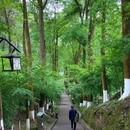 白鹤山风景名胜区 - 成都旅游 缩略图 1