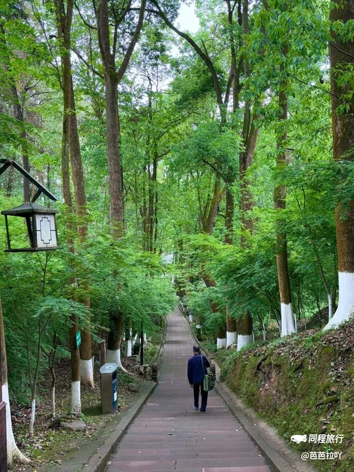 白鹤山风景名胜区 - 成都旅游