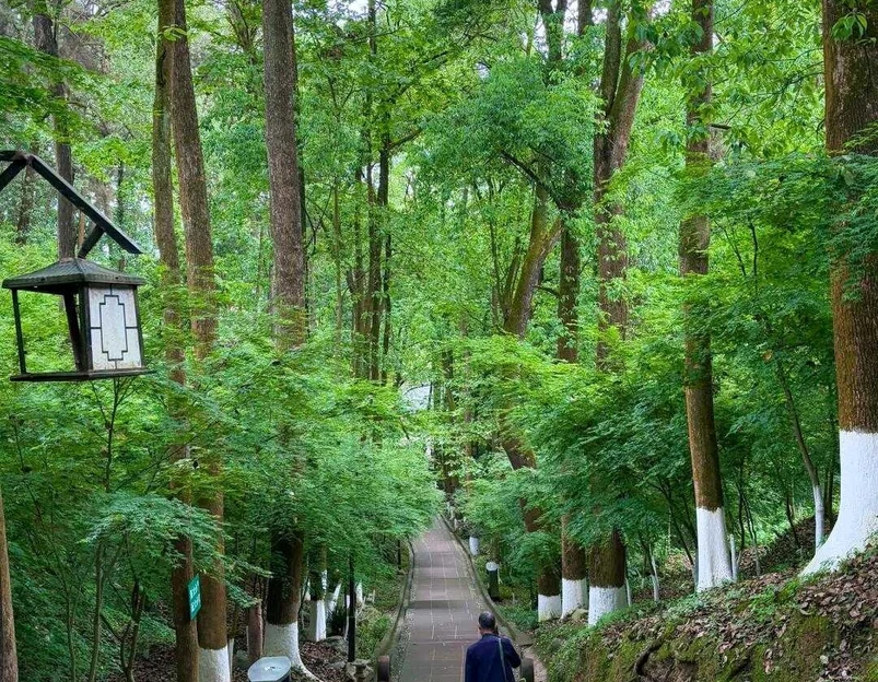 白鹤山风景名胜区 - 成都旅游 1
