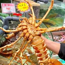 万龙洲海鲜·宴会厅(广渠门店) - 北京市旅游 缩略图 7