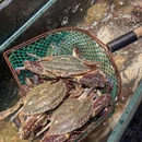 昌舟记·舟山海鲜饭店 - 苏州市旅游 缩略图 2