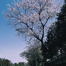 空港体育公园 - 成都市旅游 缩略图 4