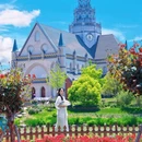 荷兰花海 - 盐城市旅游 缩略图 1
