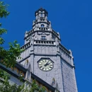 荷兰花海 - 盐城市旅游 缩略图 6