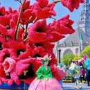 荷兰花海 - 盐城市旅游 缩略图 8