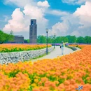 三台山衲田花海秀场 - 宿迁市旅游 缩略图 2